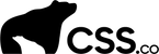 Csscompany